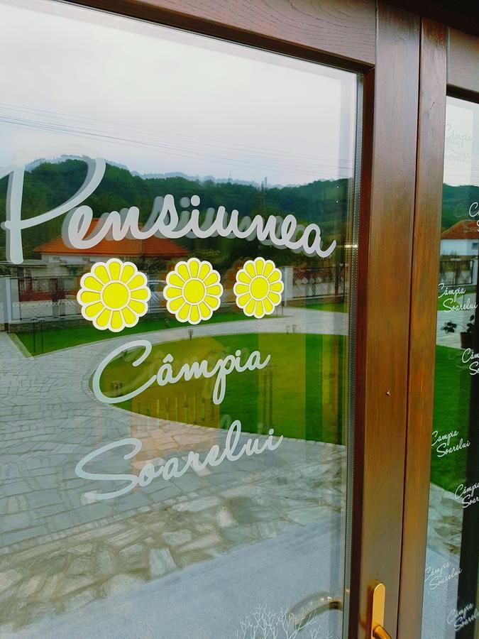 Pensiunea Campia Soarelui Apa Neagră Eksteriør bilde
